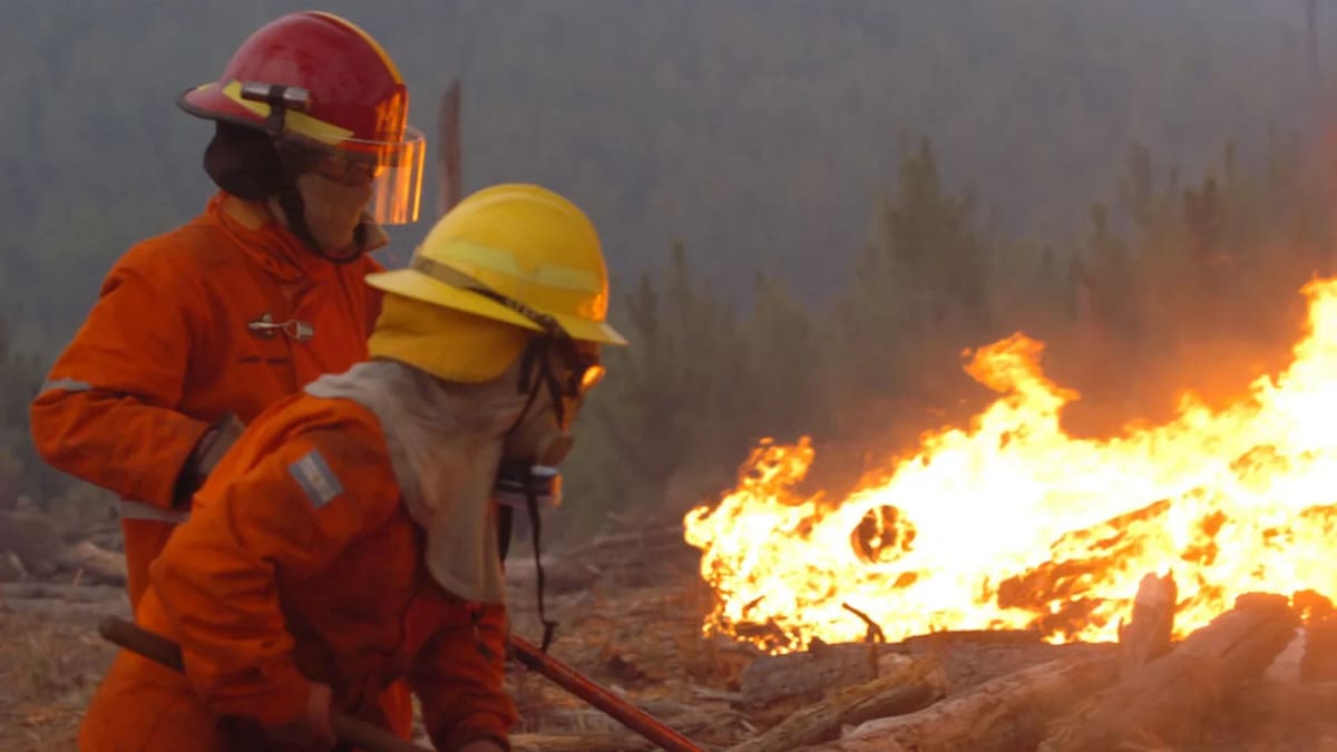 Incendios en Córdoba. Foto: NA.