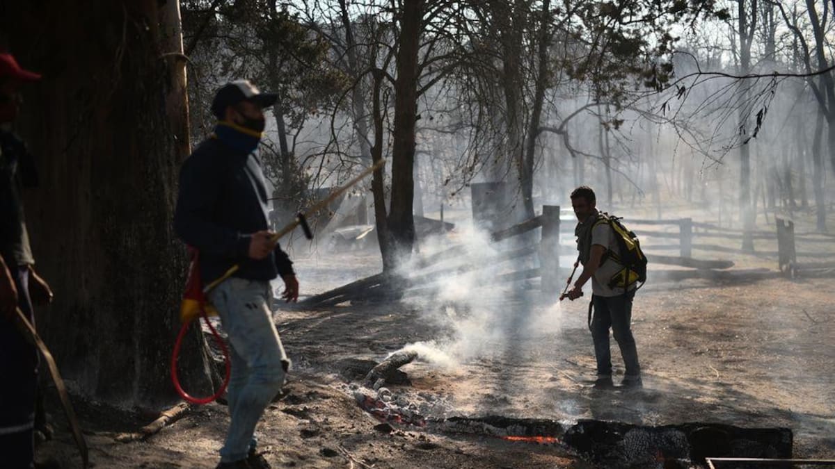 Incendios en Córdoba, Foto: Pedro Castillo
