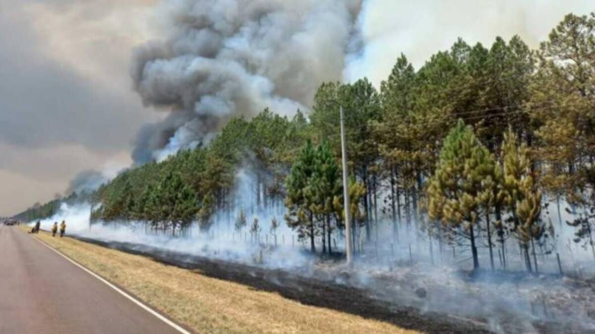 Incendios en Corrientes, foto NA