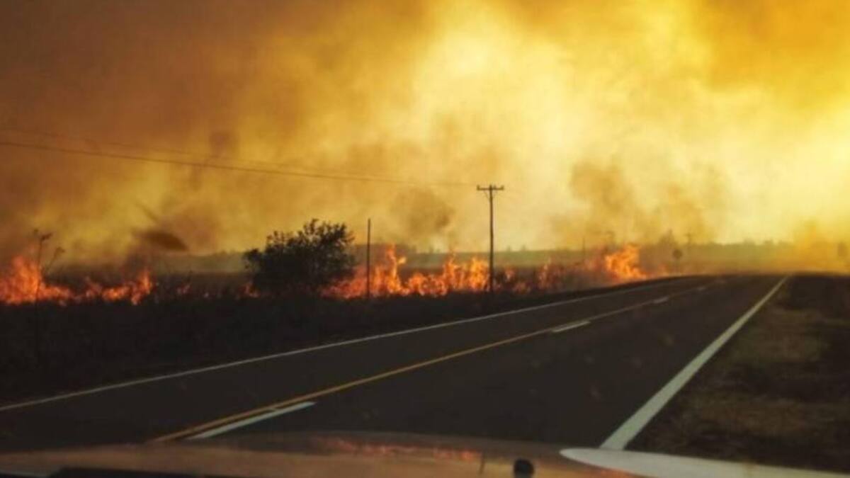 Incendios en Corrientes, foto NA