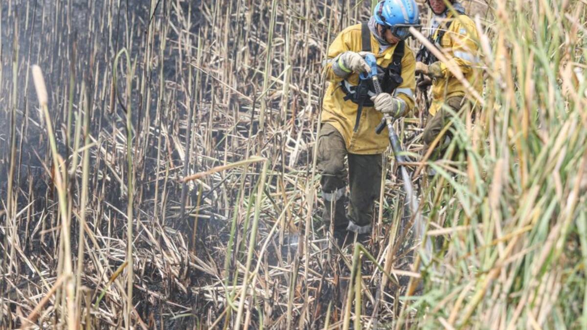 Incendios en Corrientes: 14 focos afectan a gran parte de los esteros