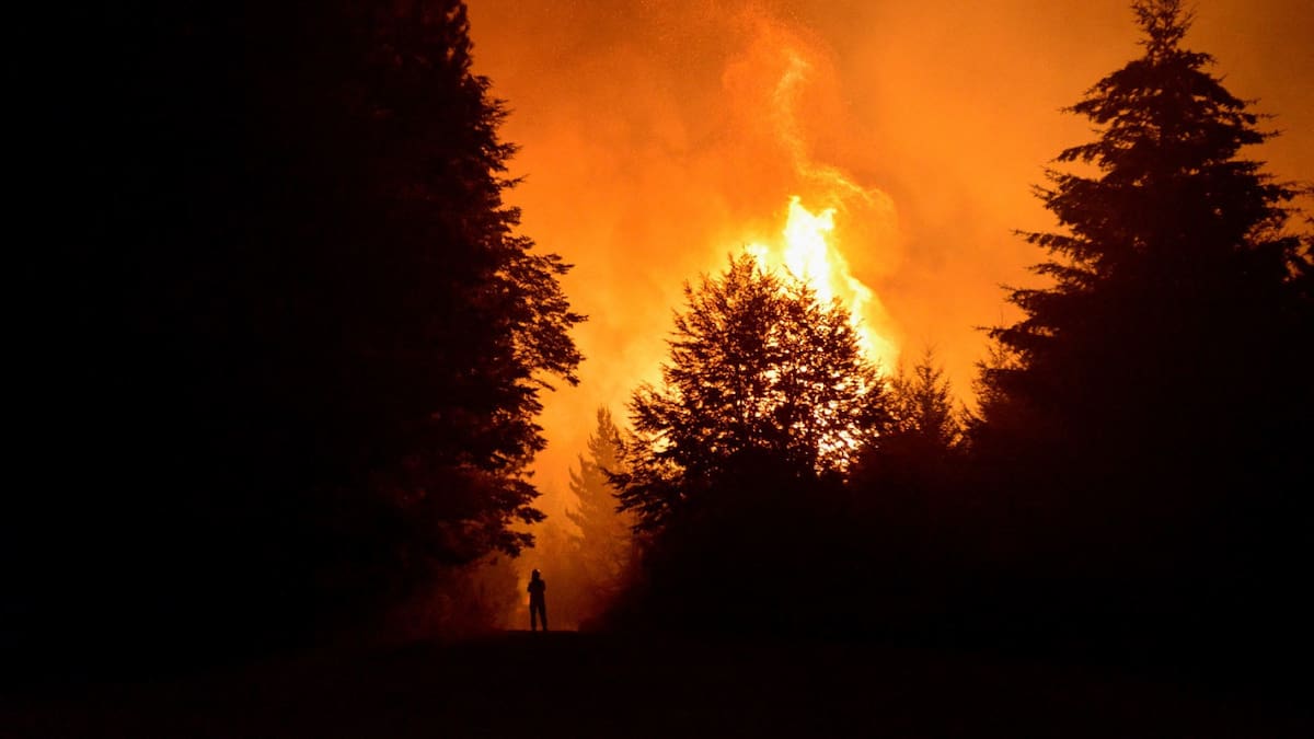 Incendios en El Bolsón. Foto: Reuters/Marcelo Martinez