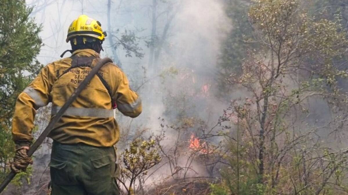 Incendios en El Bolsón, Río Negro. Foto: NA - @rionegrogob.