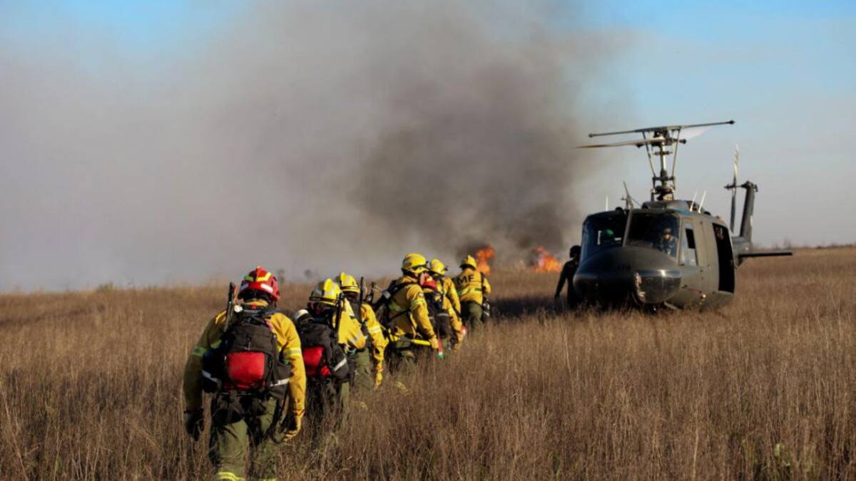 Incendios en el Delta. Foto: NA.