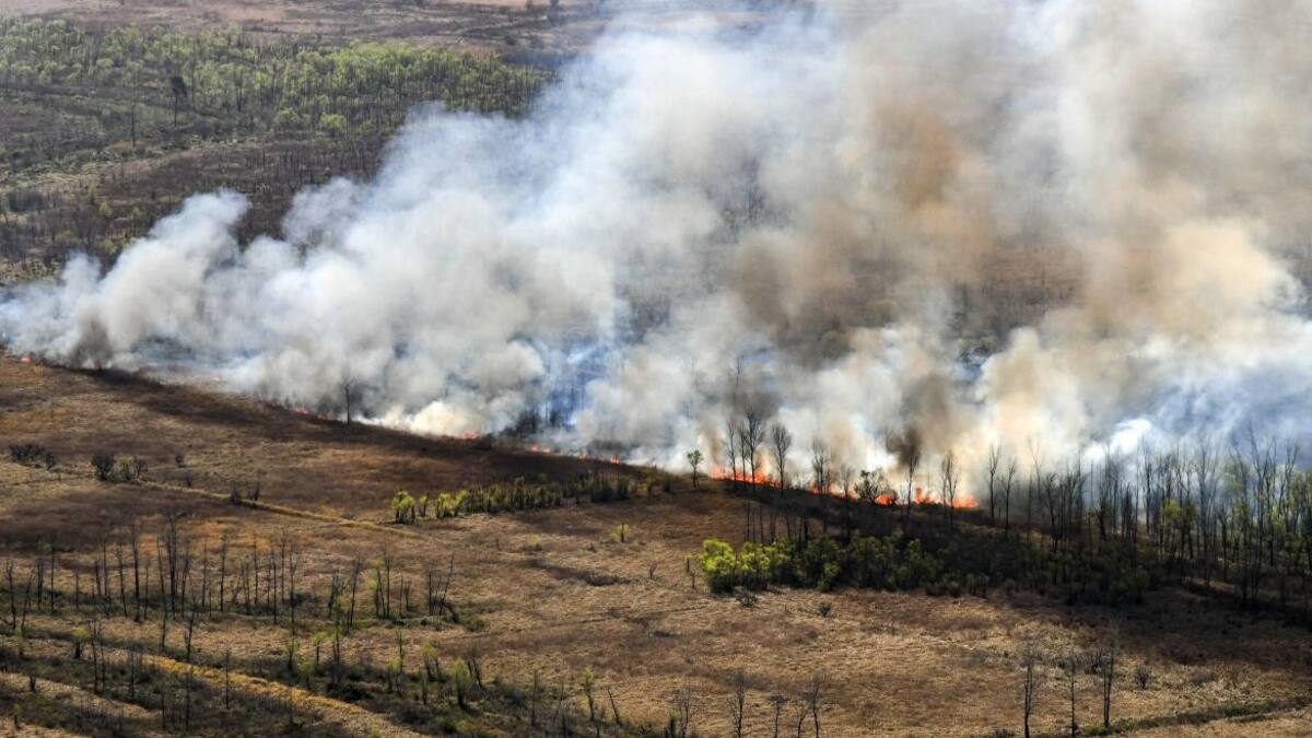 Incendios en el Delta. Foto: NA.
