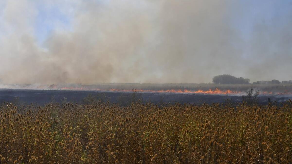 Incendios en el país