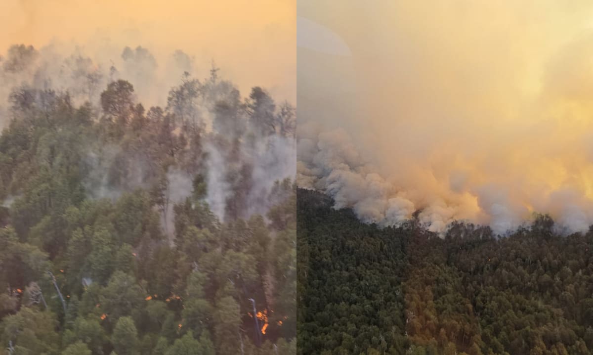Incendios en el Parque Nacional Nahuel Huapi. Foto: nahuelhuapi.gov.ar