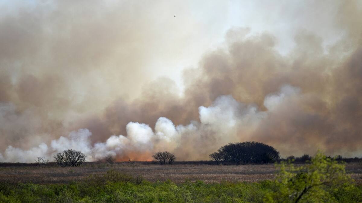 Incendios en Entre Ríos. Foto: NA.
