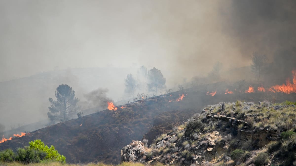 Lionel Messi sorprendió con una millonaria ayuda para reconstruir una de las zonas más golpeadas por los incendios en España