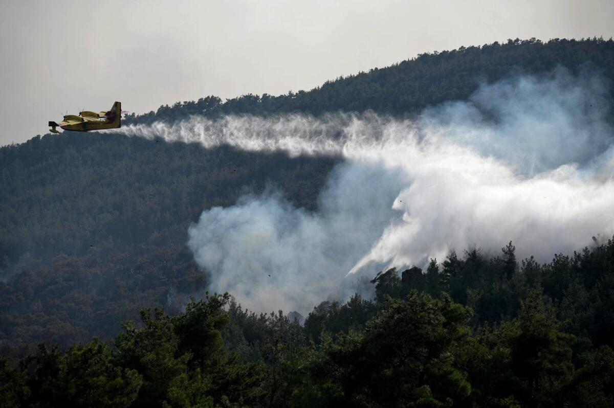 Incendios en Grecia. Foto: EFE