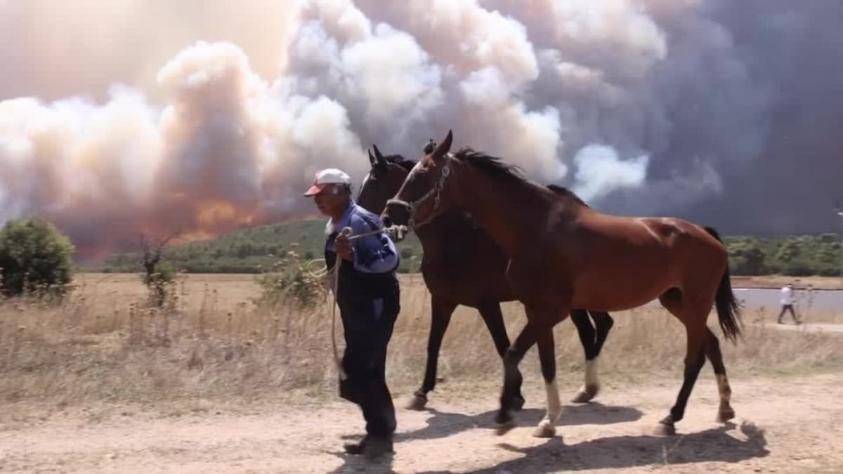 Incendios en Grecia. Foto: Reuters.