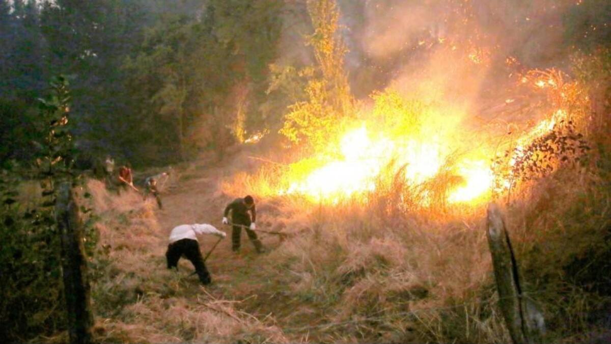 Incendios en La Araucania, en el sur de Chile.