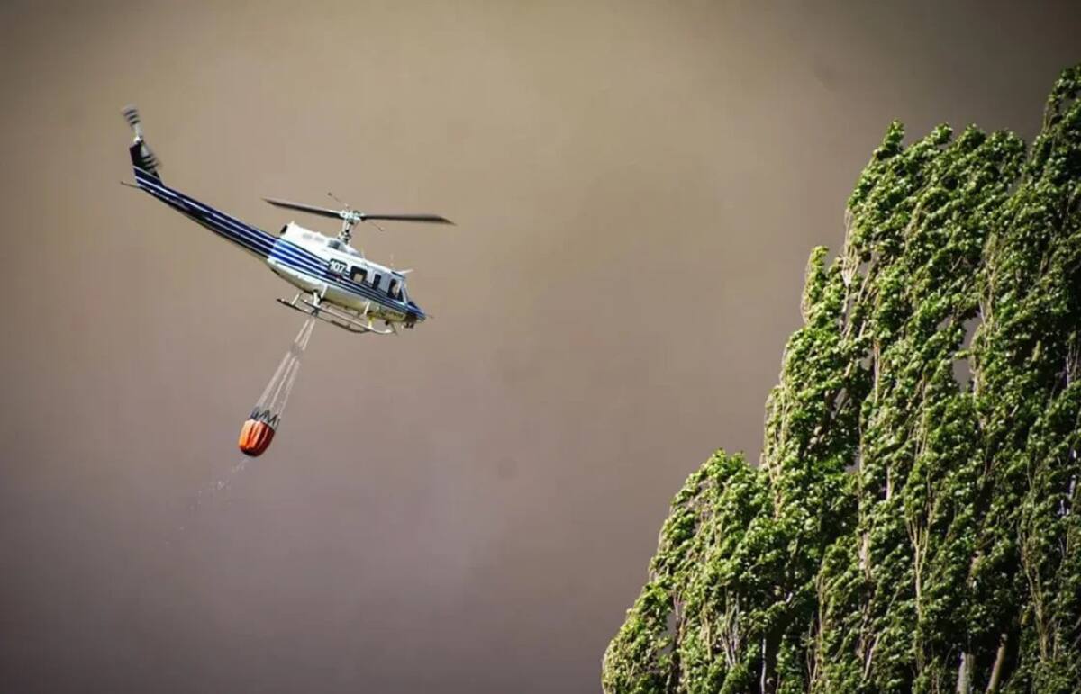 Incendios en la Patagonia. Foto: NA.