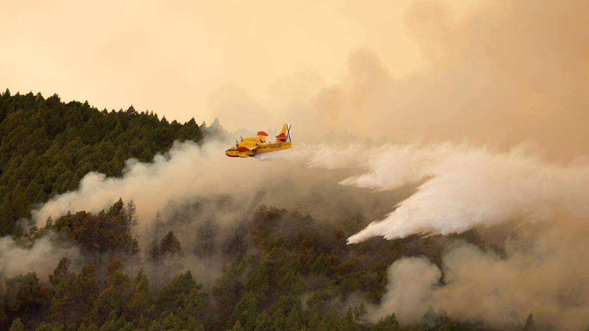 Incendios en Tenerife. Foto: Reuters.