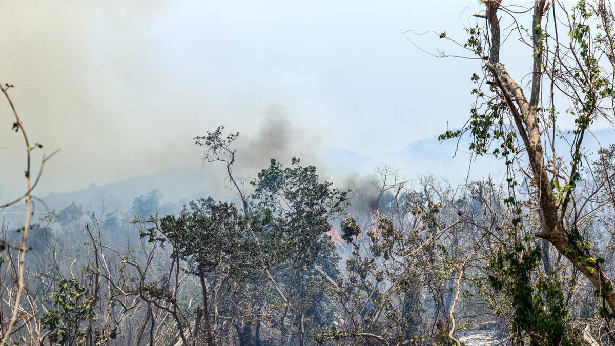 Incendios forestales azotan a la ciudad mexicana de Acapulco. Foto EFE.