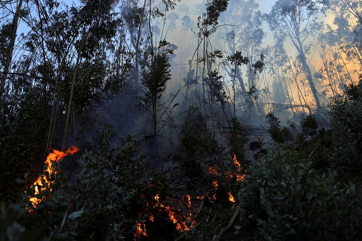 Incendios forestales Colombia. Foto: Reuters