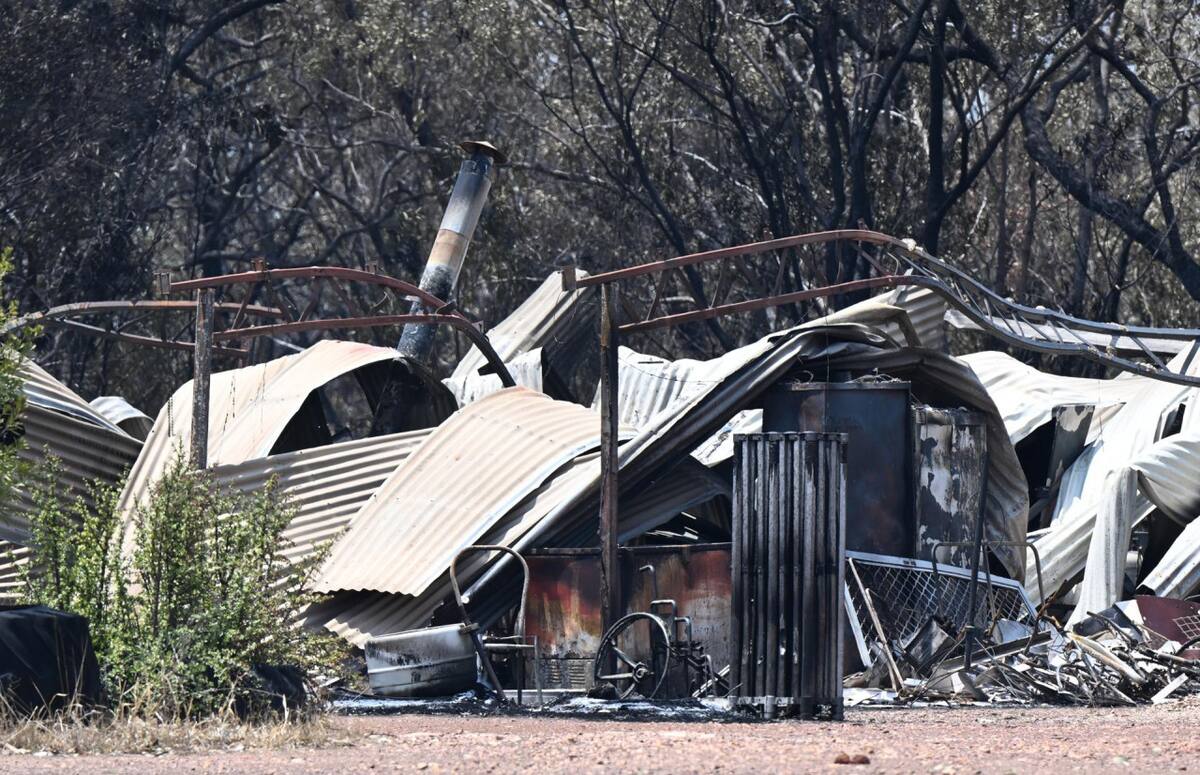 Incendios forestales en Australia. Foto: EFE.