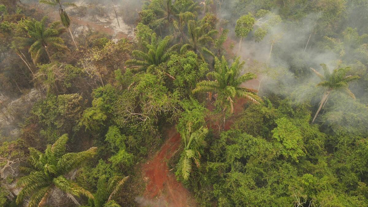 Incendios forestales en Bolivia. Foto: EFE