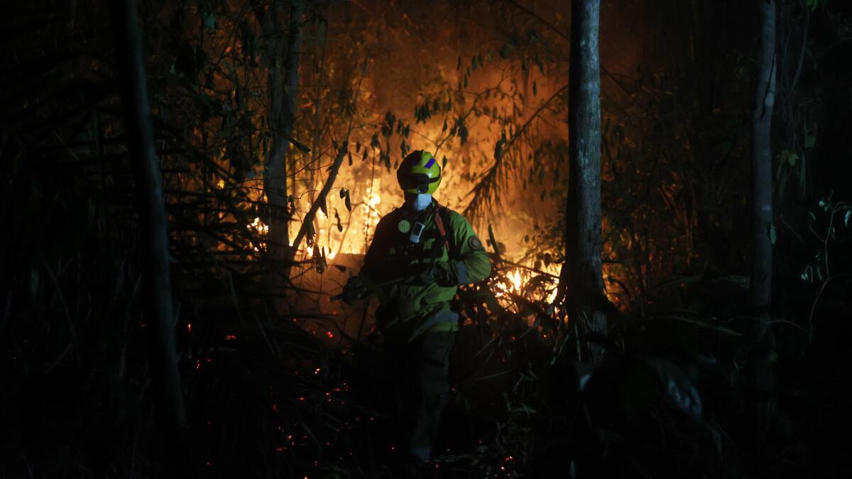 Incendios forestales en Bolivia. Foto: EFE
