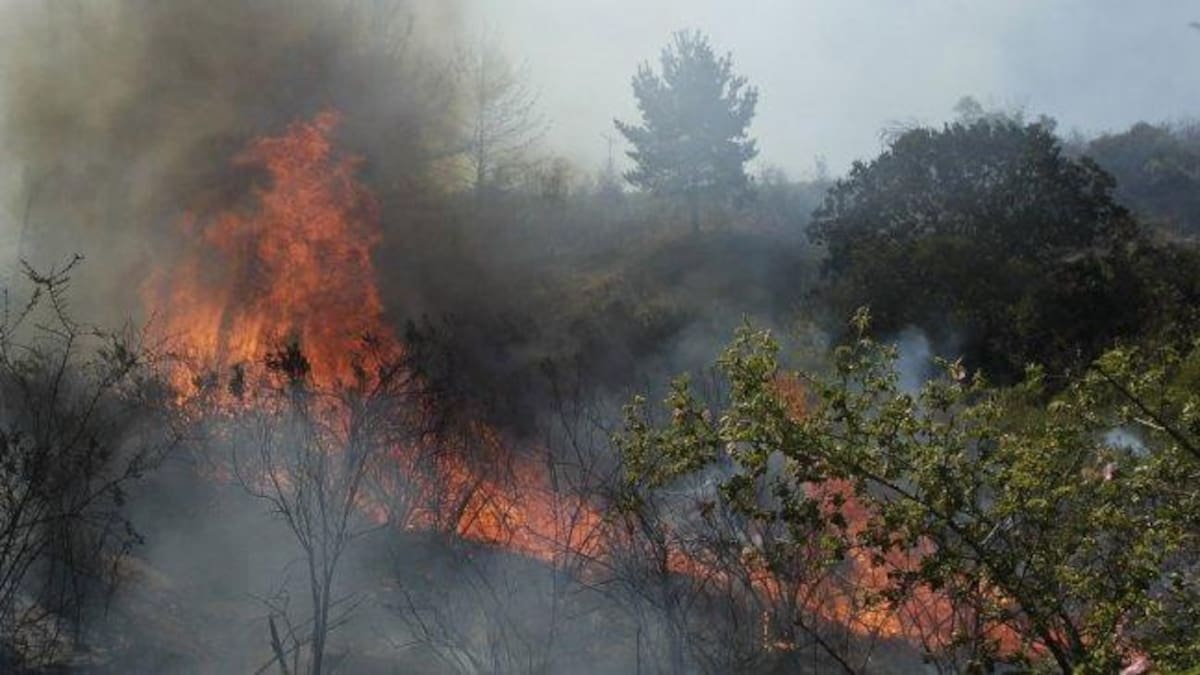 Incendios forestales en Chile