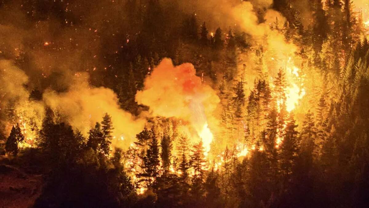 El fuego arrasó con miles de hectáreas y la situación no está controlada, según las autoridades.