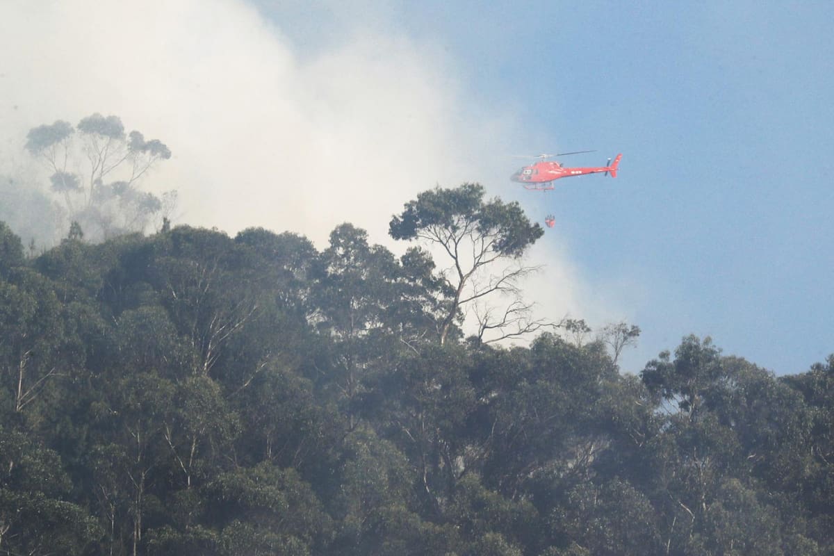 Incendios forestales en Colombia. Foto: EFE.