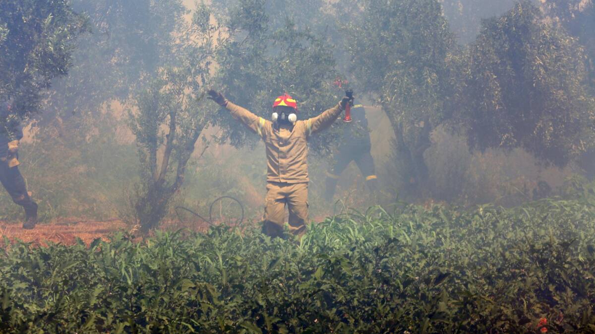 Incendios forestales en Grecia. Foto: EFE.