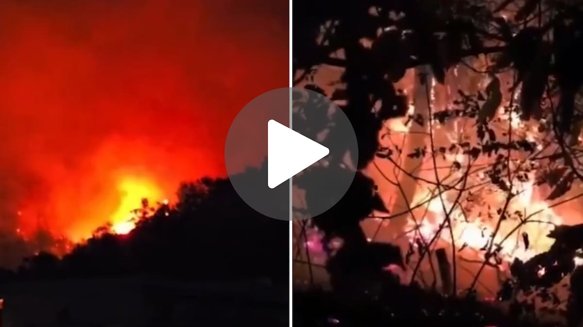 Imágenes impactantes por el incendio forestal en Italia: evacuaron a 50 personas y el fuego arrasó 24 hectáreas