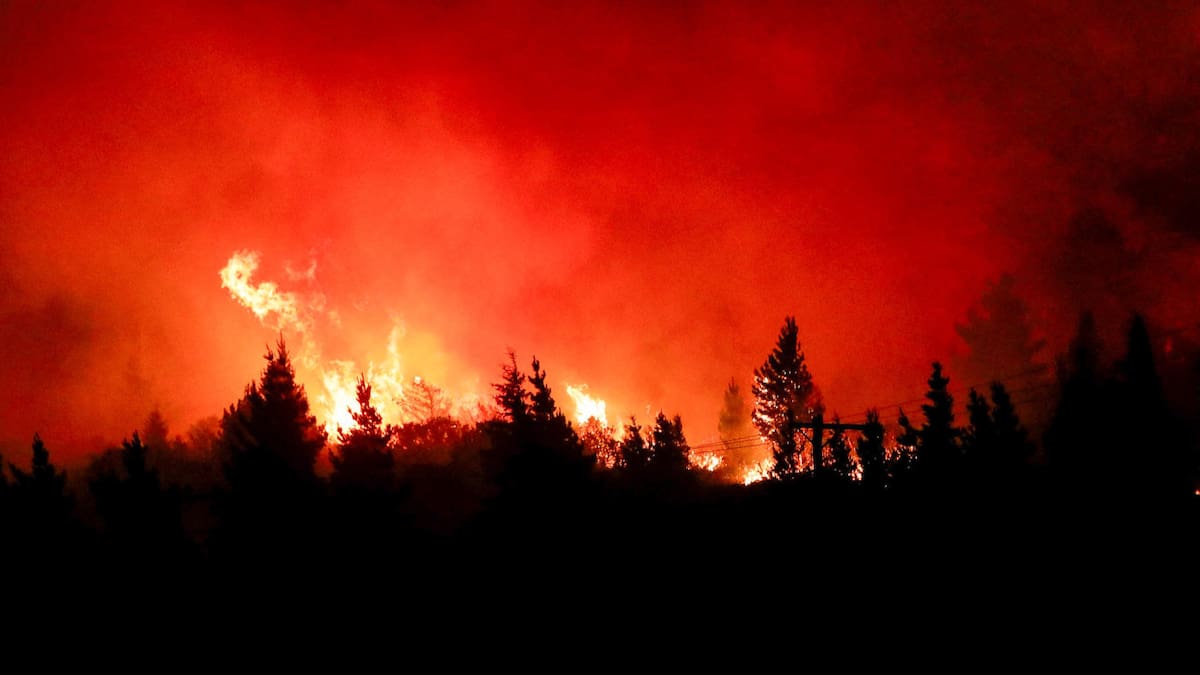 Incendios forestales. Foto: EFE