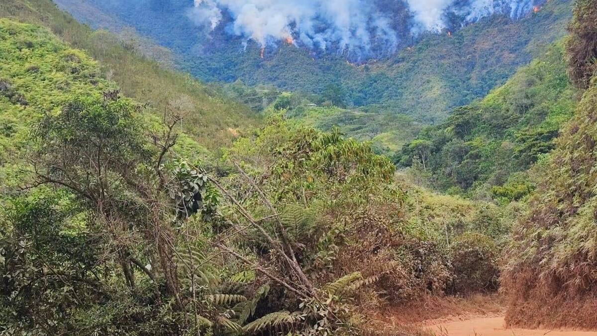 Incendios forestales Colombia. Foto: X @DNBomberosCol