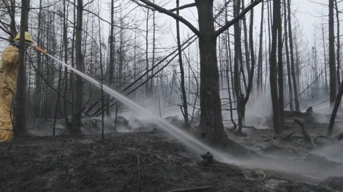 Incendios forestales en Nueva Escocia. Foto: captura video.
