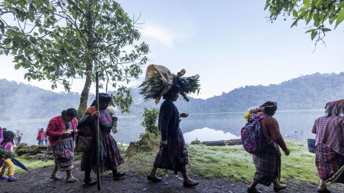 El superalimento milenario de los incas. Foto EFE.