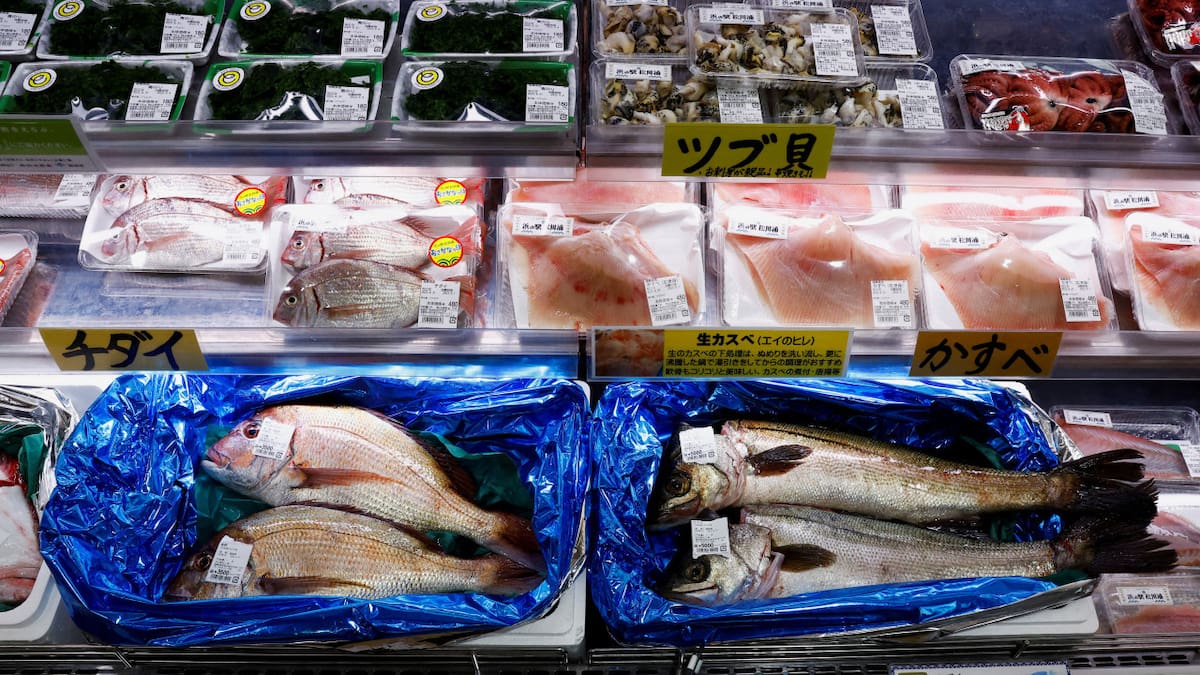 Industria pesquera china. Foto: Reuters.