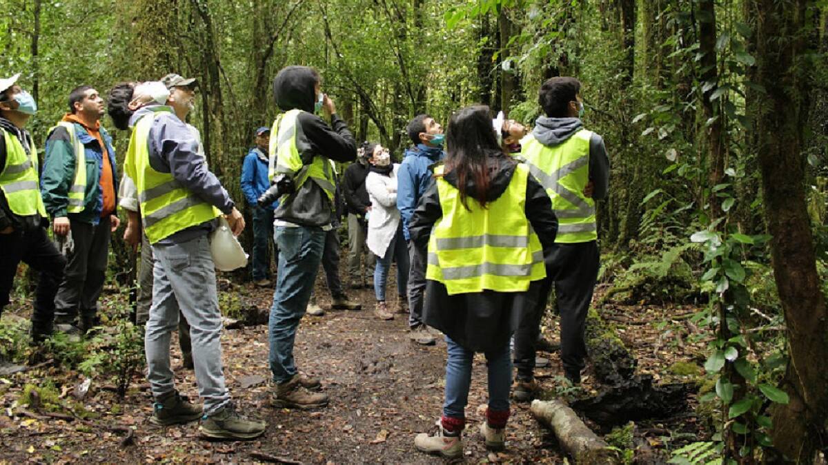 Ingenieros forestales. Foto: Facultad de Ciencias Forestales y Recursos Naturales de Chile.