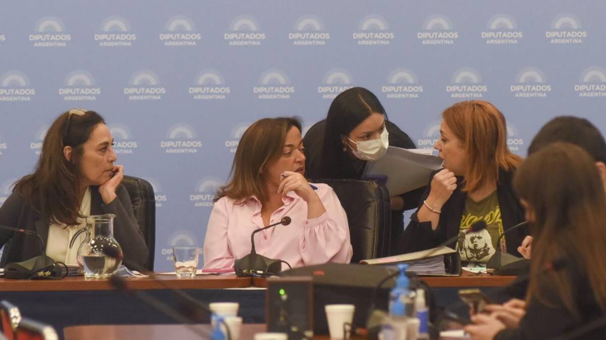 Inquilinos e inmobiliarias expusieron en la Comisión de Diputados sobre la Ley de Alquileres, NA