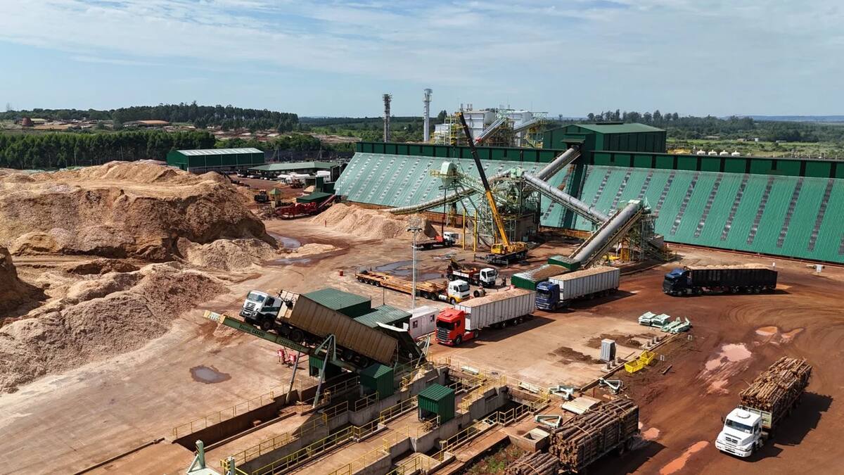 El Grupo Insud inauguró su nueva planta de energía renovable: duplica su capacidad energética en Corrientes