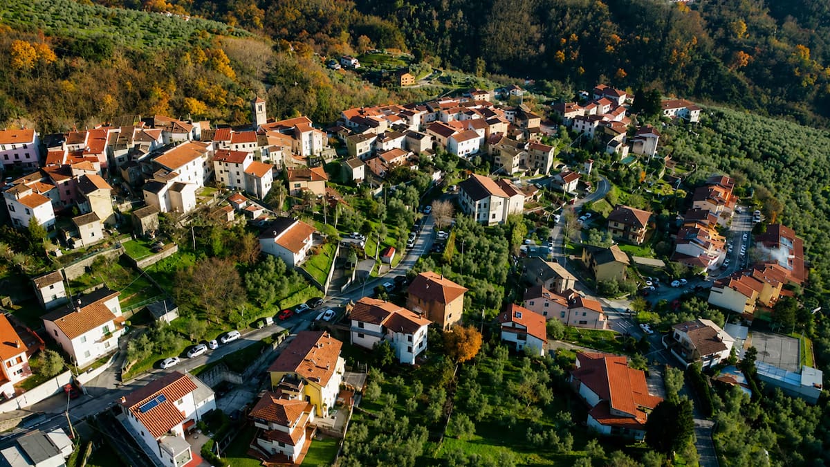Una aldea italiana busca voluntarios para cosechar aceitunas: ofrecen alojamiento y comida gratis