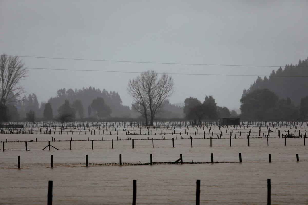 Inundaciones en Chile. Foto: Reuters
