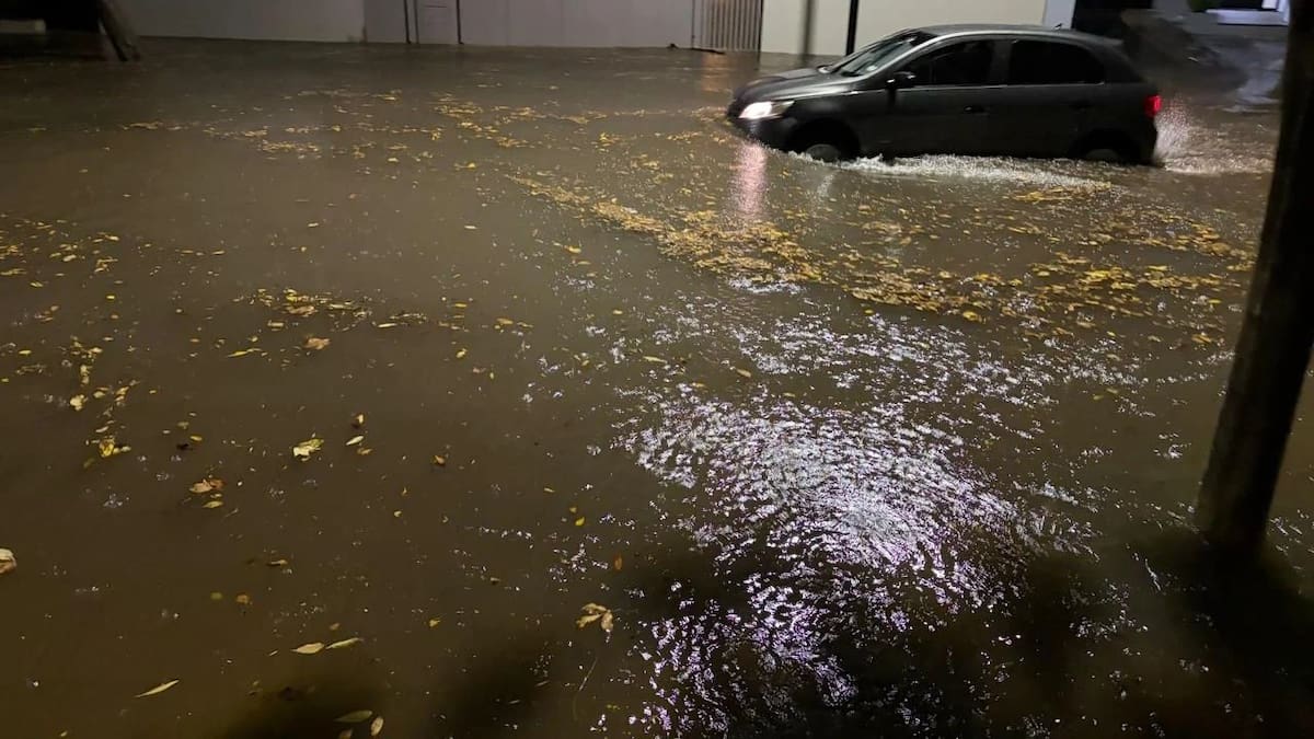 Temporal en el AMBA: las intensas lluvias y viento dejaron avenidas inundadas, destrozos en casas, autos flotando y árboles caídos