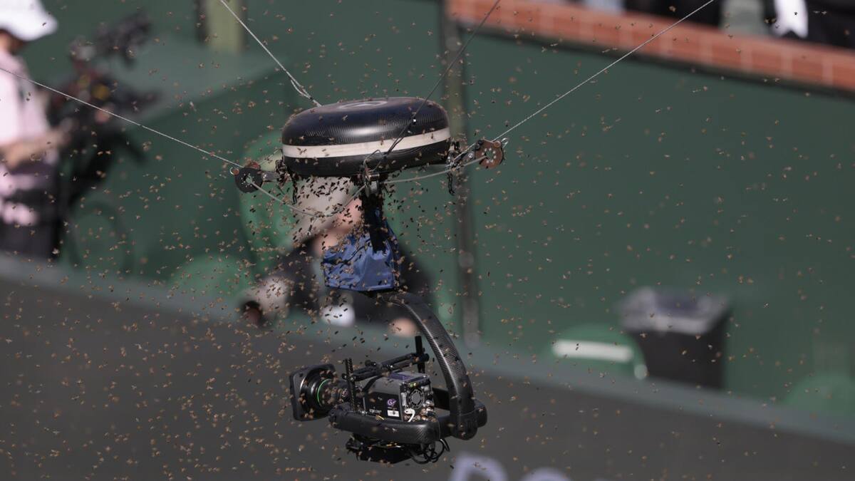 Invasión de abejas en Indian Wells. Foto: EFE.