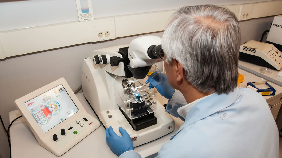 Investigaciones sobre el cáncer. Foto: Unsplash.