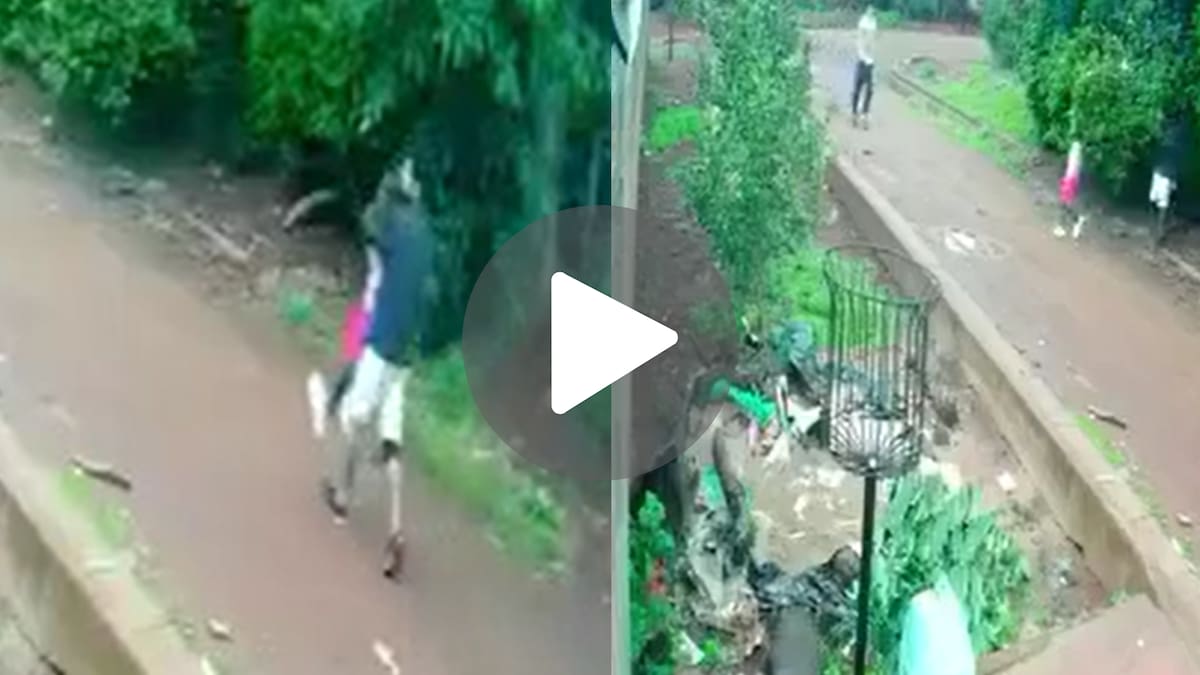 Horror en Misiones: un adolescente raptó a una menor y habría intentado abusar de ella detrás de una arboleda