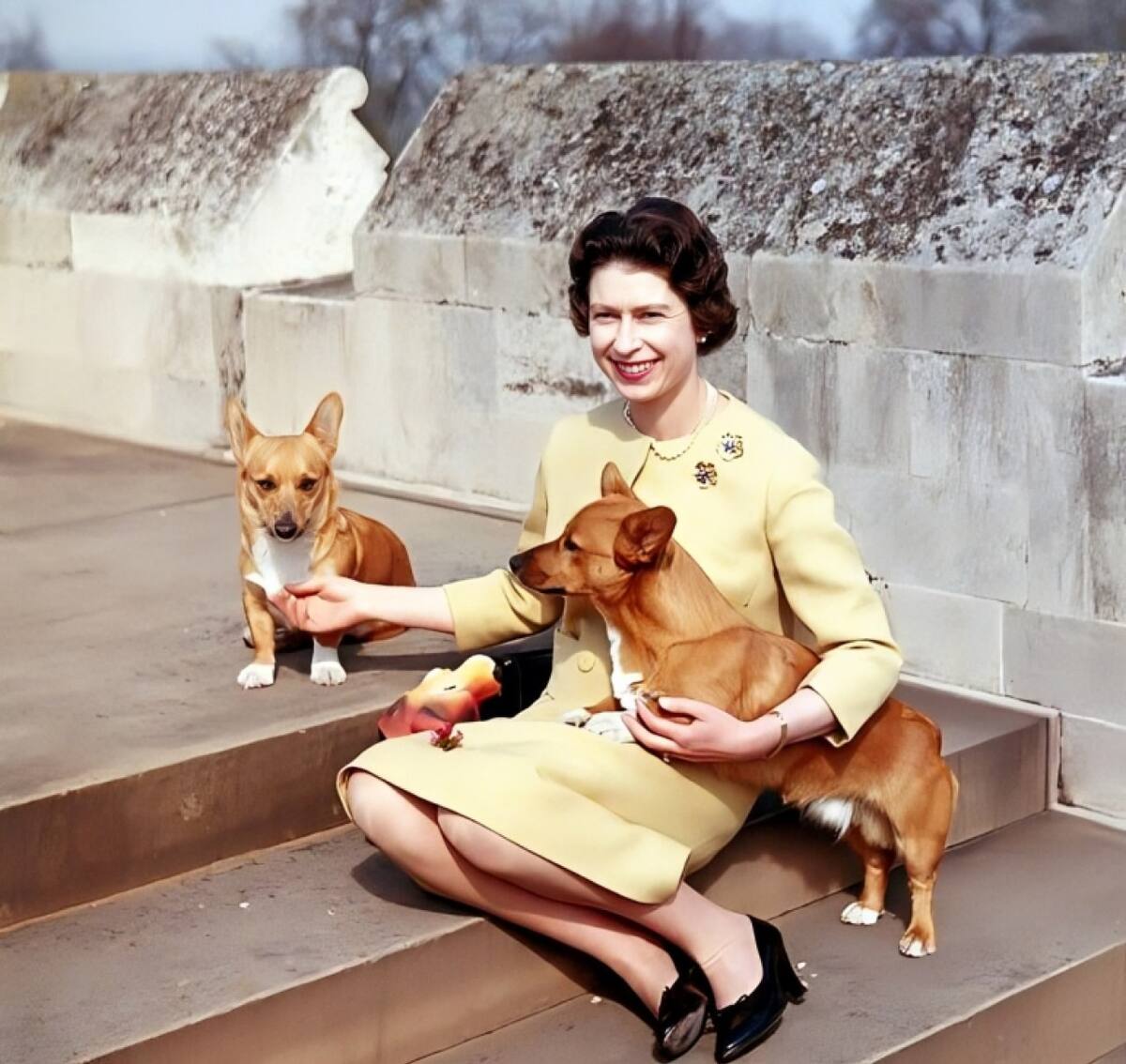 Isabel II de Reino Unido y sus perros corgi. Foto: Pinterest.