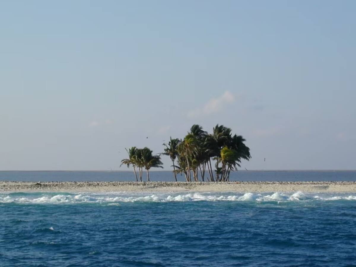 Isla de Clipperton. Foto: Wikimedia