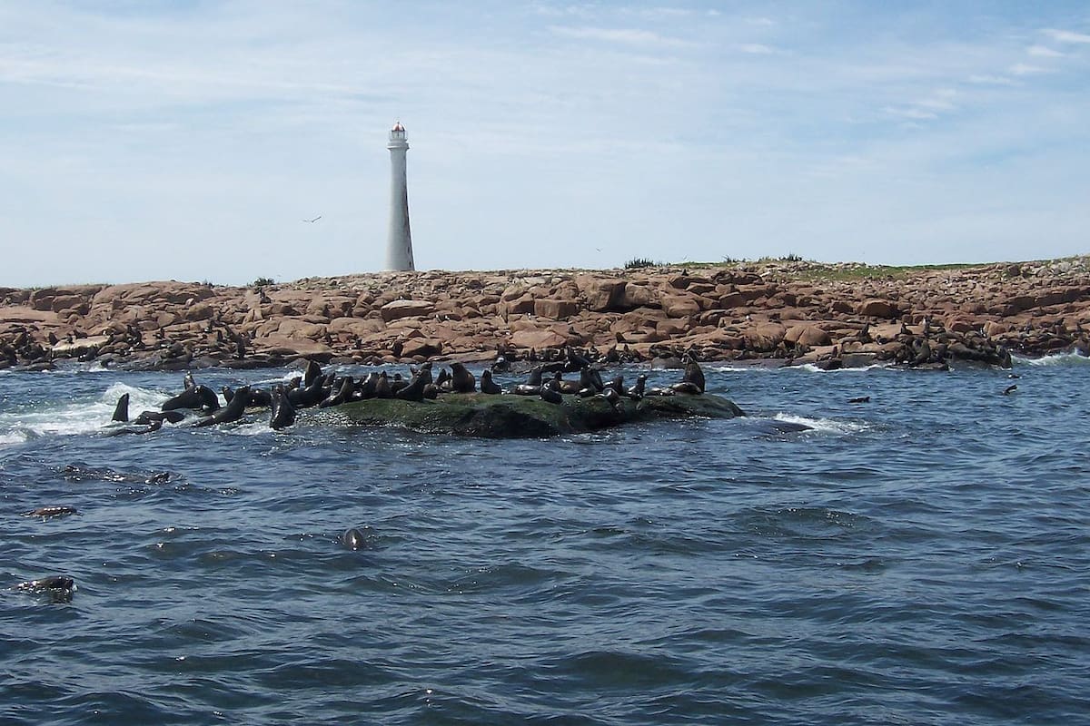 Isla de Lobos, Punta del Este, Uruguay. Foto: Wikipedia.