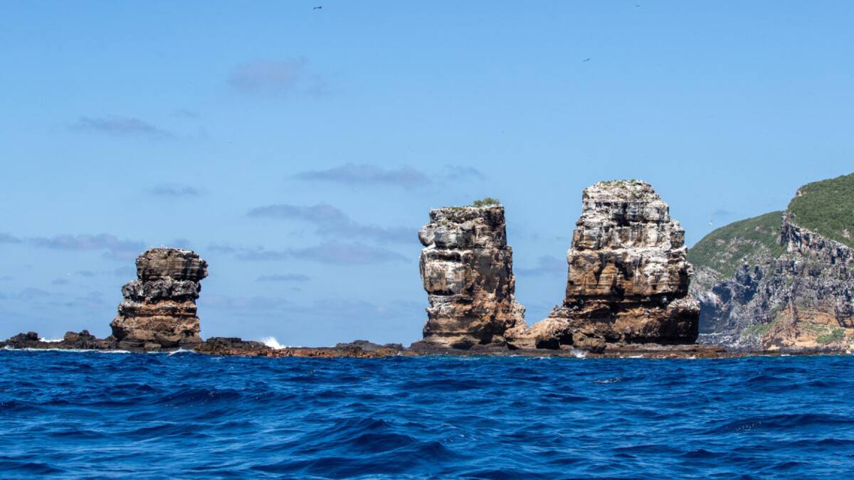 Isla Galápagos. Foto: EFE