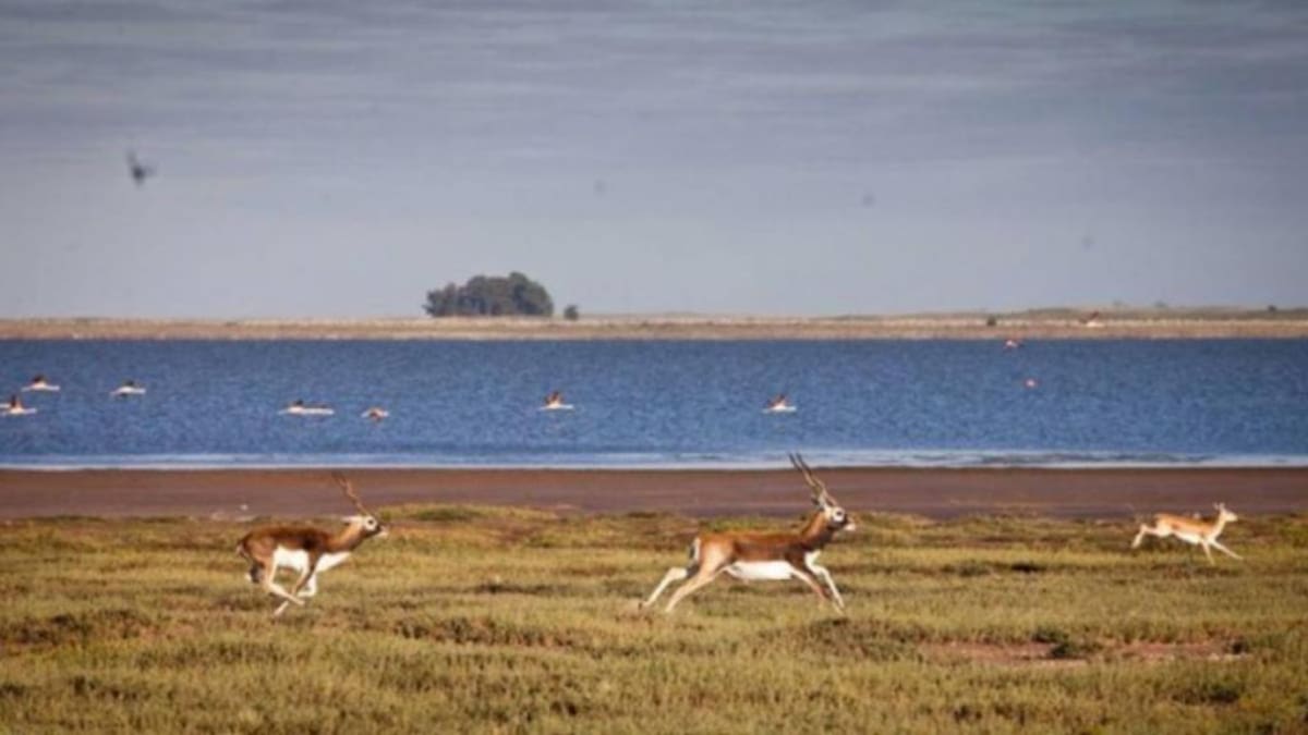 La isla secreta rodeada de agua donde el silencio es el protagonista: ideal para una escapada exprés en Buenos Aires