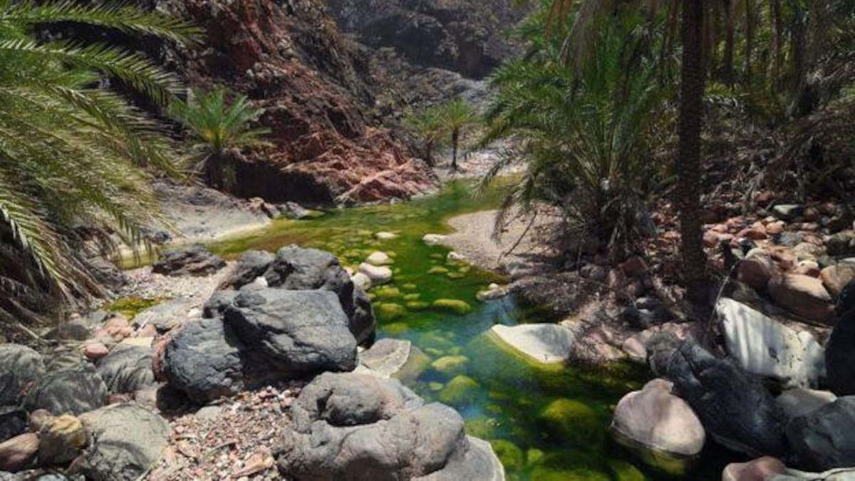 Islas de Socotra, Foto Getty Images