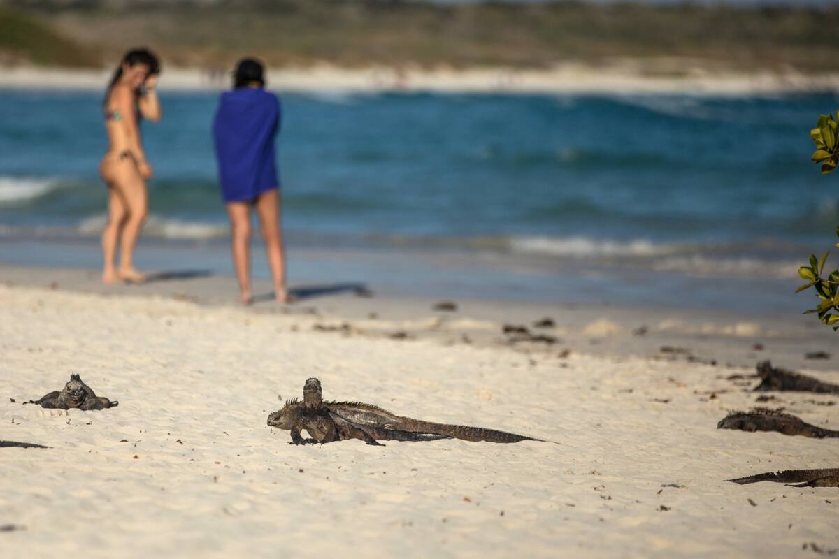 Islas Galápagos. Foto: Archivo NA