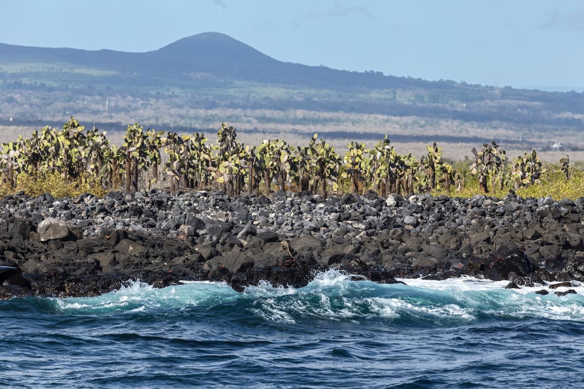 Islas Galápagos. Foto: Archivo NA